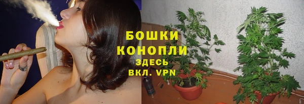сатива Куйбышев