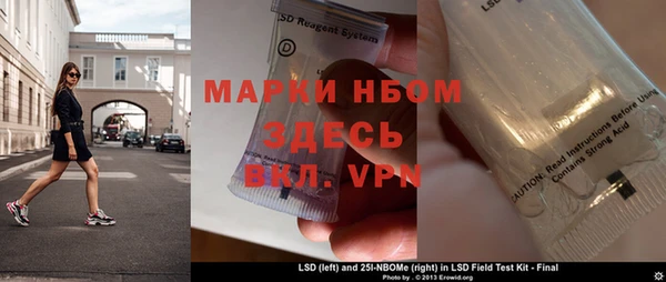сатива Куйбышев