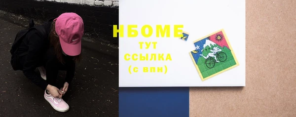 сатива Куйбышев