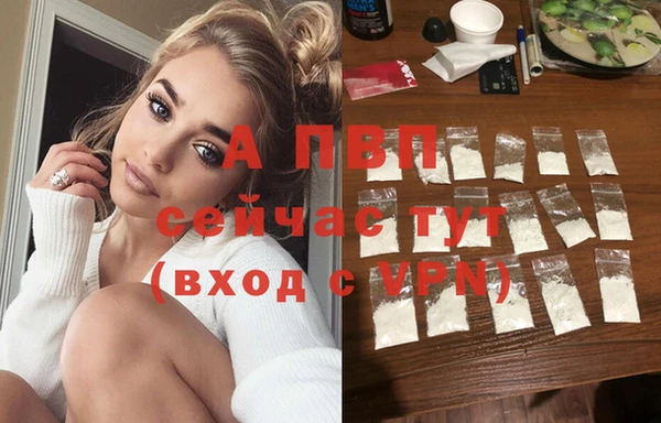 сатива Куйбышев