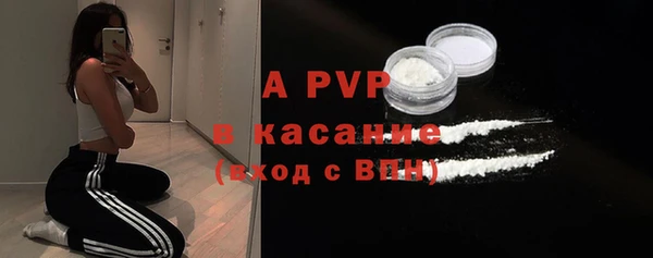 ГАЛЛЮЦИНОГЕННЫЕ ГРИБЫ Кукмор