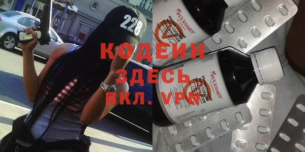 ГАЛЛЮЦИНОГЕННЫЕ ГРИБЫ Кукмор