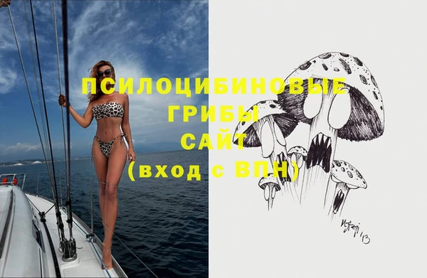 ГАЛЛЮЦИНОГЕННЫЕ ГРИБЫ Кукмор
